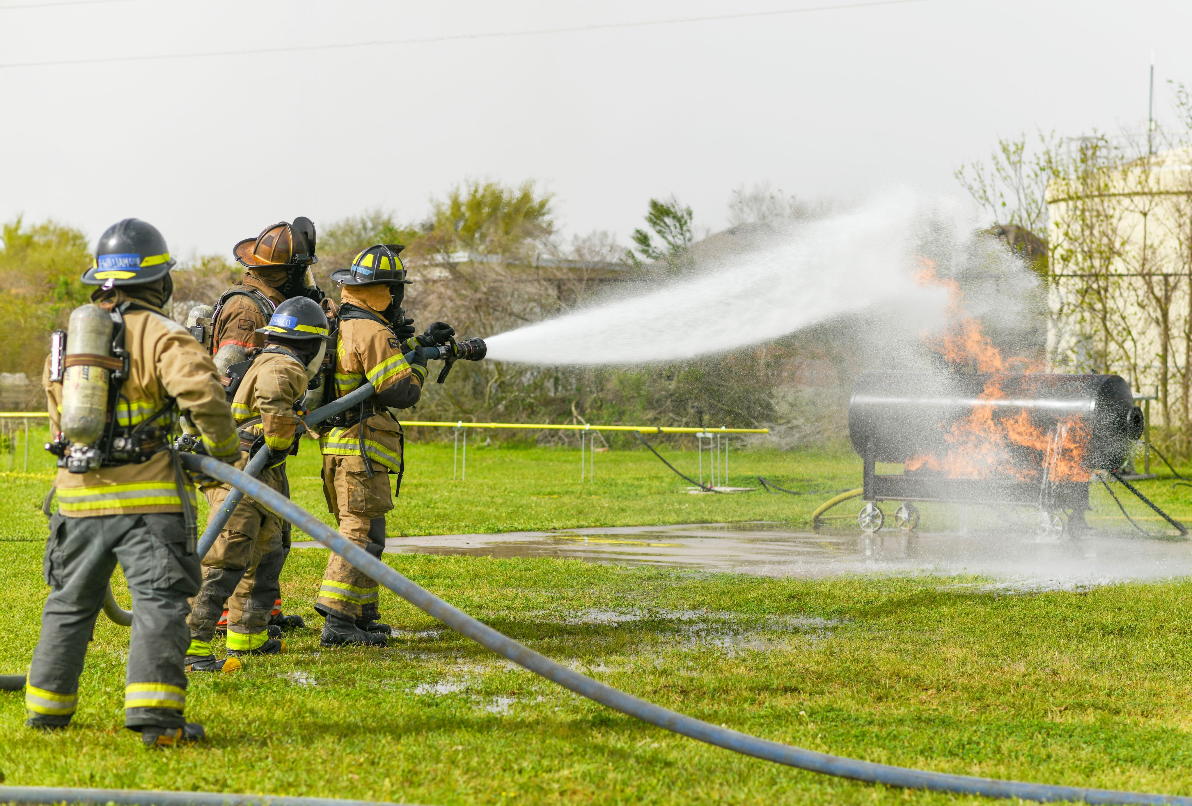 Group of people celebrating