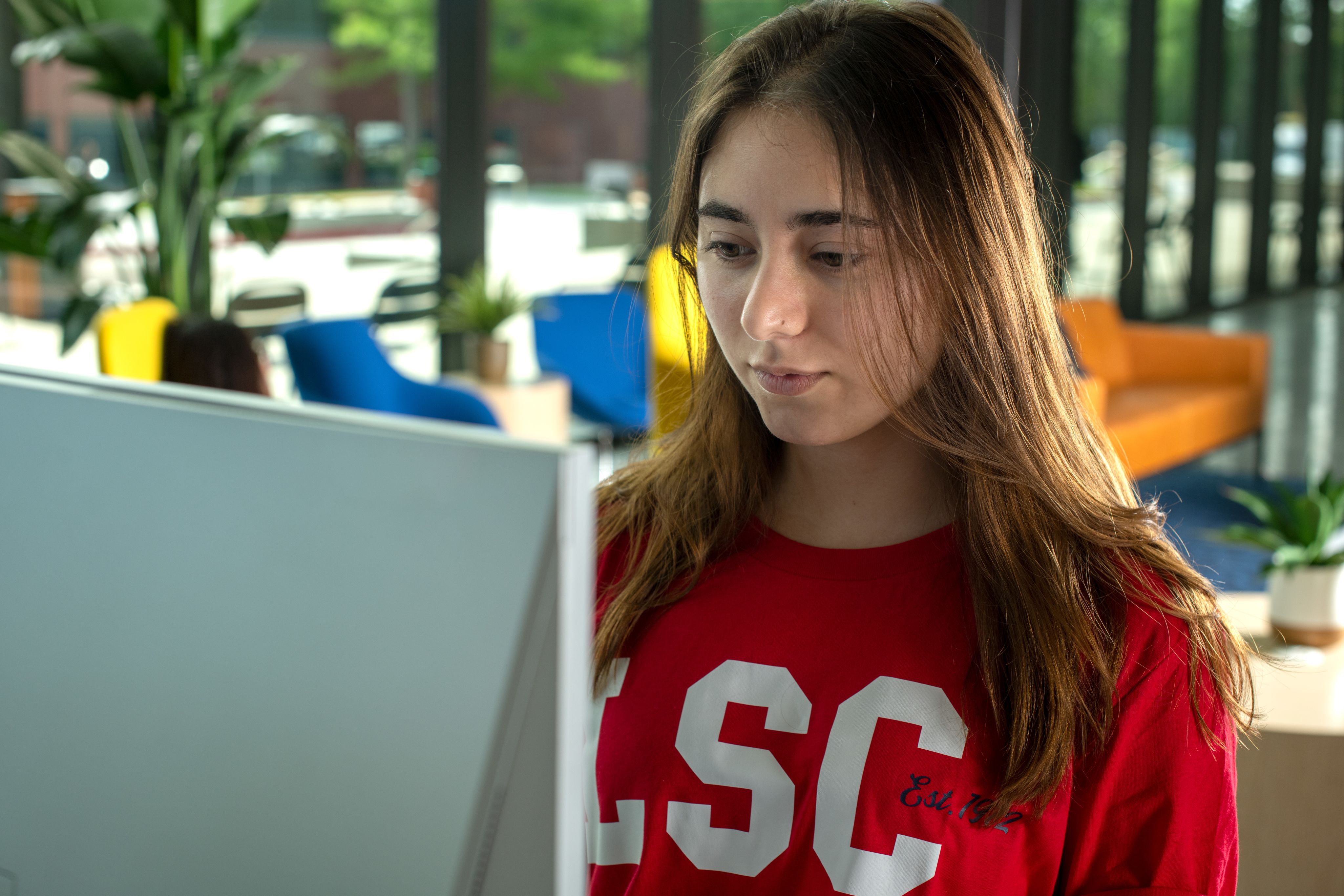 LSC student at computer